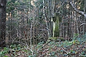 Rostoczek 11.2008 438